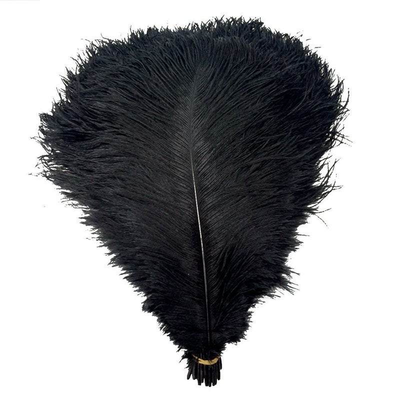KOLIGHT 40pcs 12''~14''(30~35cm) Natural Ostrich Feathers for DIY Home Wedding Party Office Decoration (Black) - Image 1